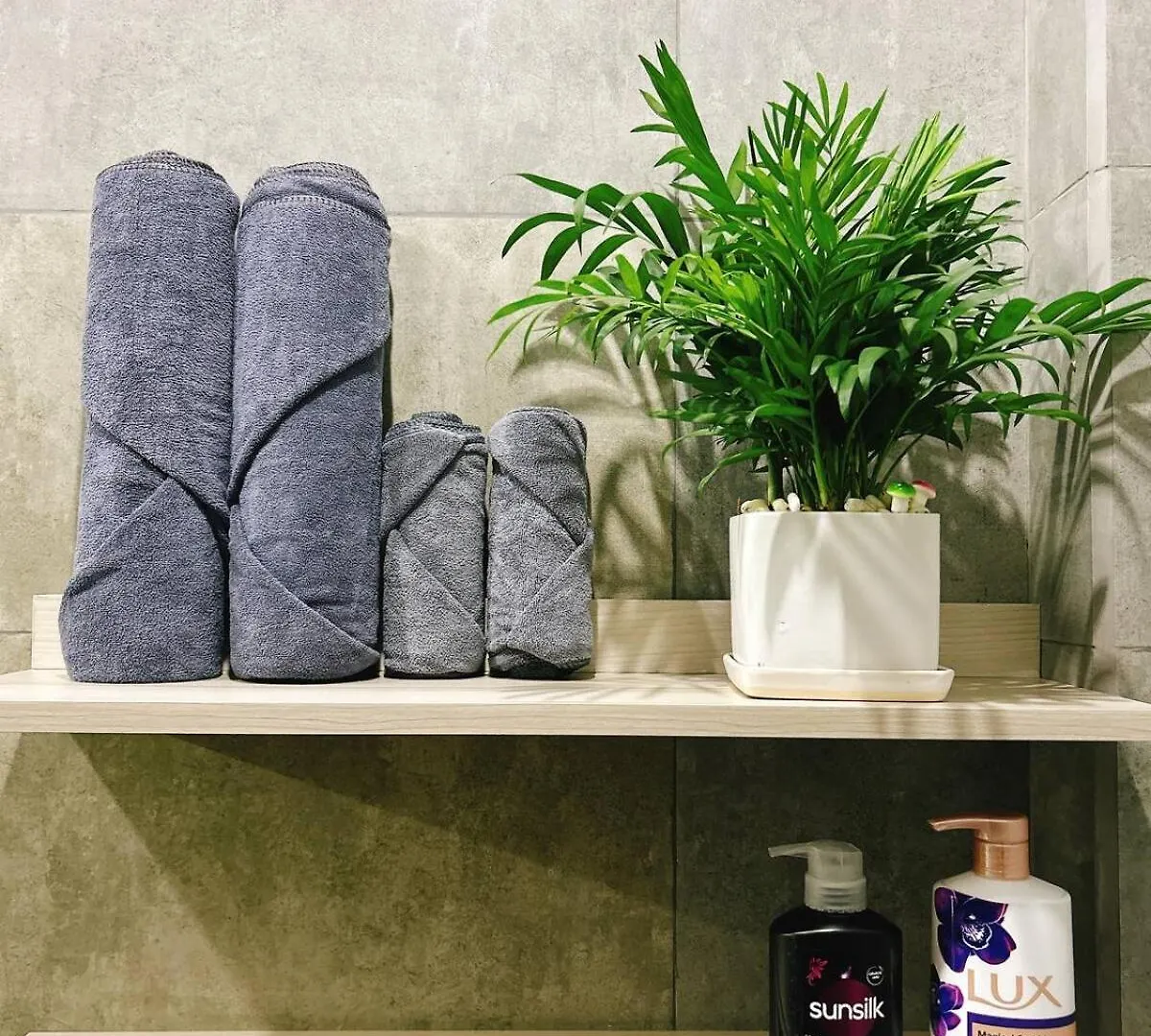 Can Ho 1 Phong Ngu Tai Phu Nhuan Ho Chi Minh City Apartment